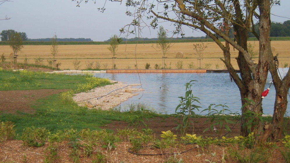 P8040003